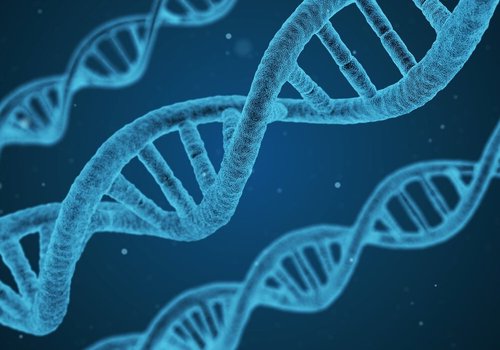 Обнаружение соединения, способного деактивировать ген, ответственный за метастазирование основных видов рака